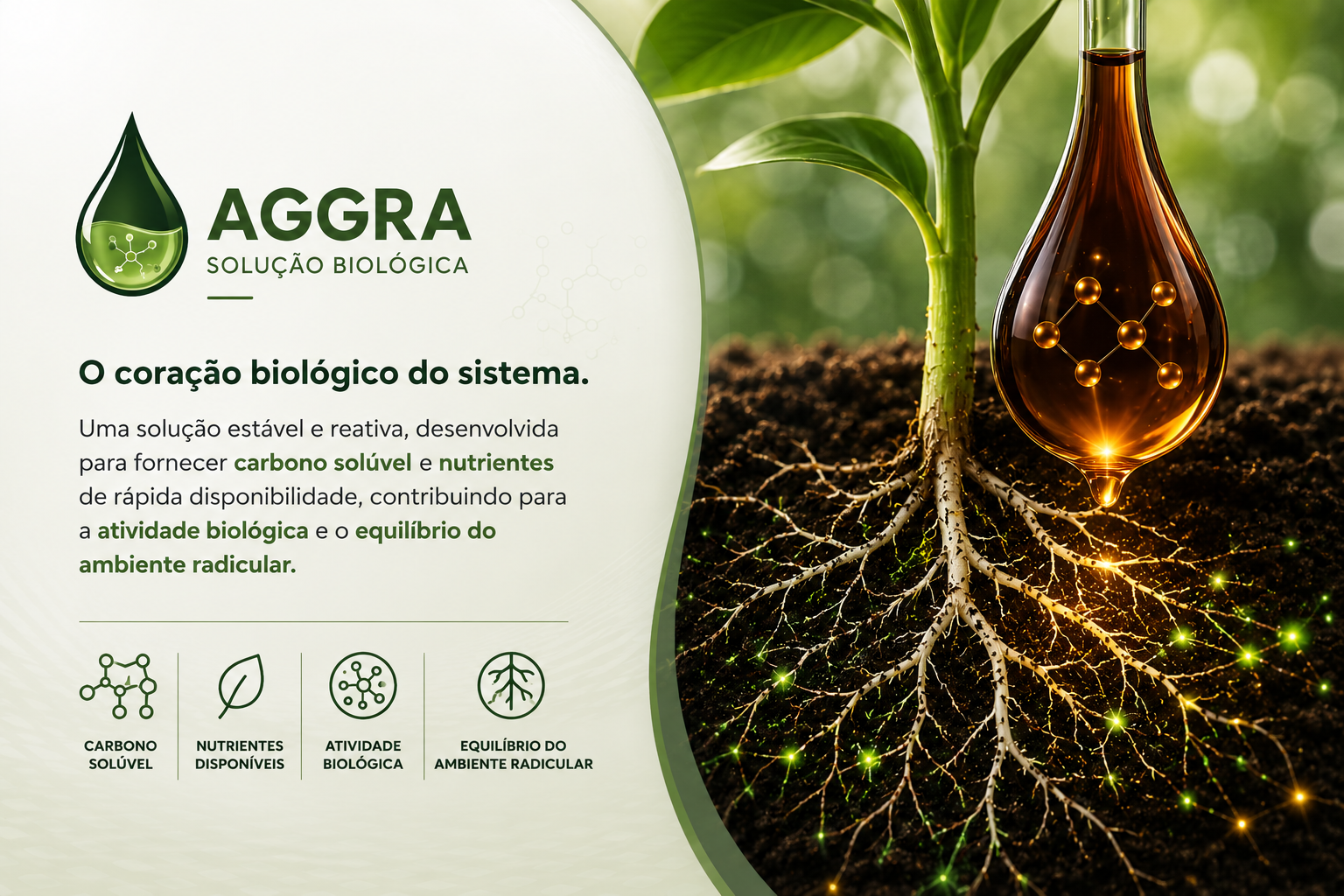 Fração Líquida — solução estável e reativa obtida via Carbonização Hidrotérmica (HTC).