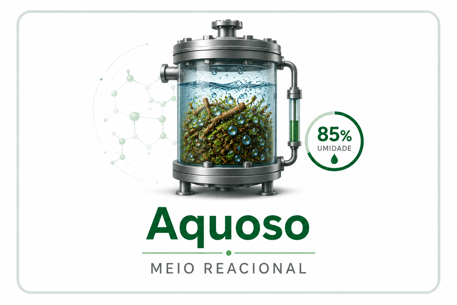 Meio aquoso